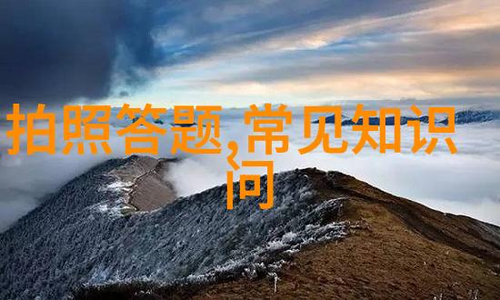 文物局鉴定费用如何这高贵著名葡萄在消费者喜爱中摇摆不已