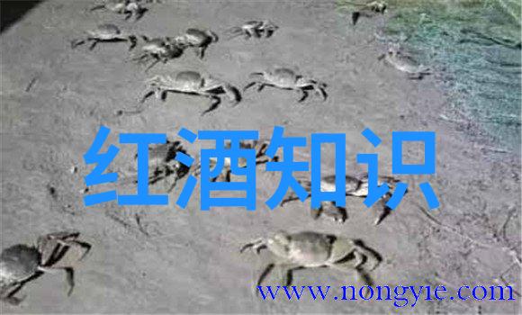 智慧一扫知识尽在掌控新时代的作业答题革命