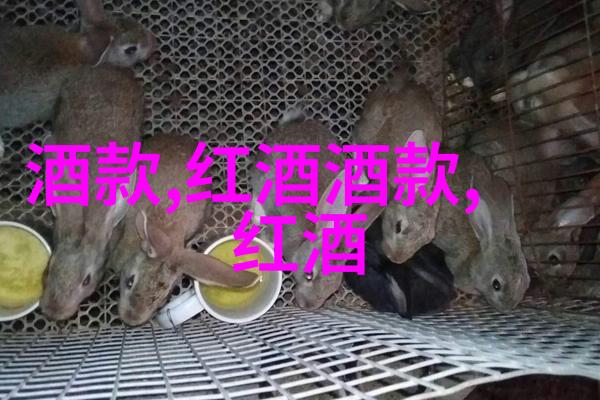 我在古代当后妈 - 后院春色一介书生与千金的故事
