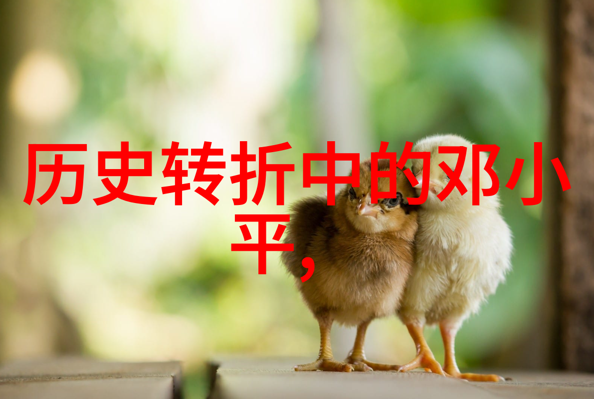 黄河流域粮食主产区之阿尔萨斯风情与丰收的交响曲