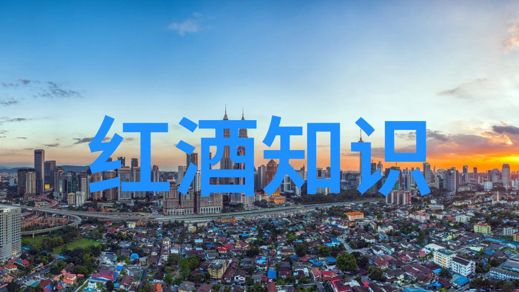 全球收藏界的巅峰之选澳大利亚葡萄酒的价值标杆