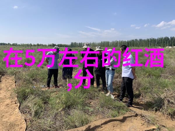 在猫品种图片中寻找设计灵感创造出独树一帜的家居装饰