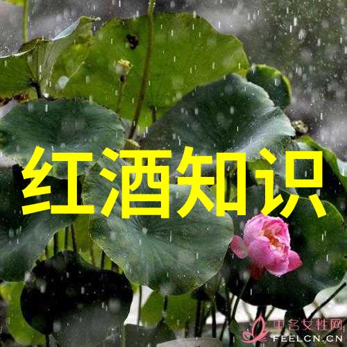 法国红葡萄酒品种大全堪称世界之冠的醉心佳酿