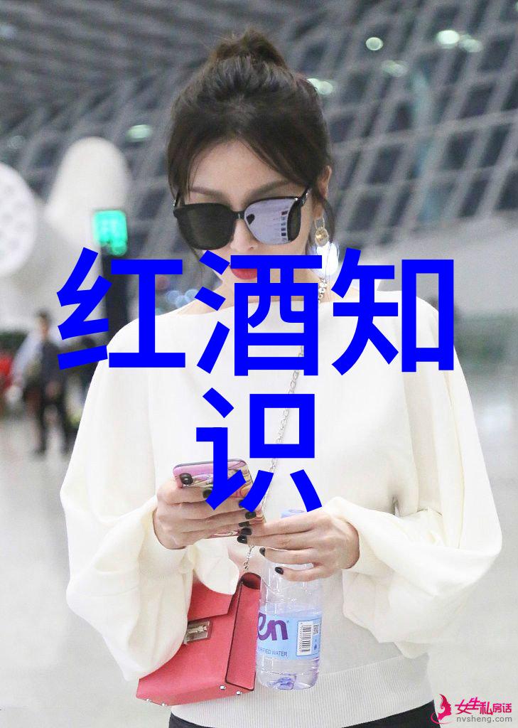 葡萄酒的诗篇醉心于世界美酒的狂欢之旅