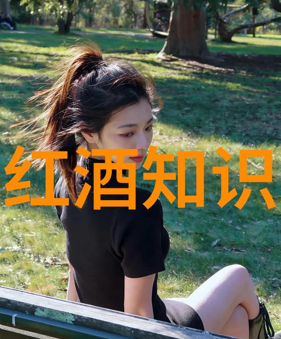 condasavel红酒品鉴探索condasavel的葡萄酒艺术