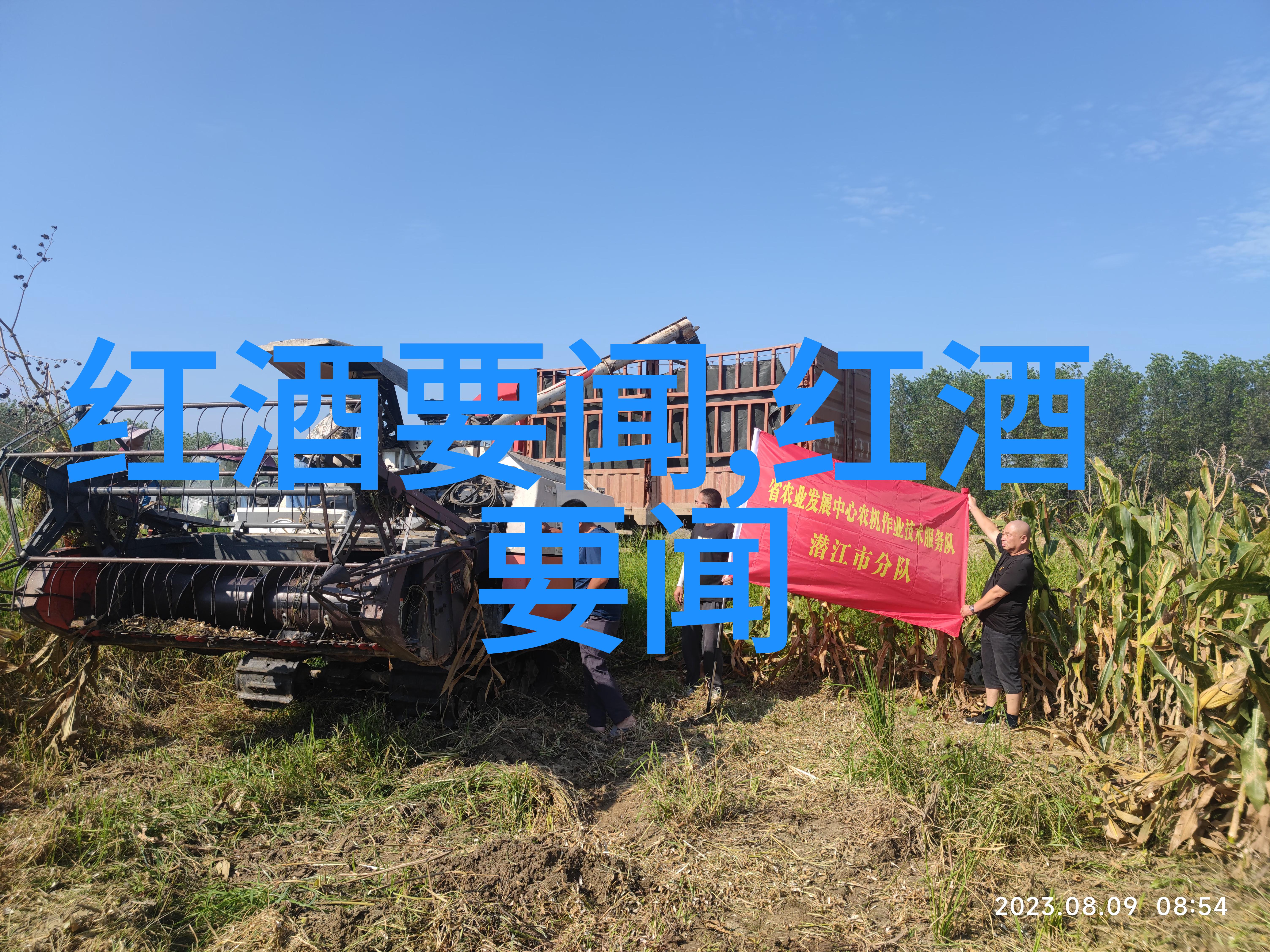 解开谜团展现你的聪明才智试试我们的智力问答题库如何