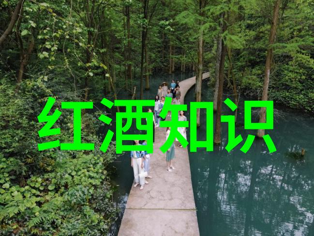 法国最有名的两个葡萄酒产地我去尝遍了香槟和波尔多体验了法语之国的醇香与风情