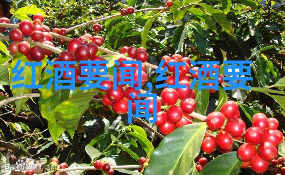 庄园小课堂从古董笔记本到智慧宝库的奇妙历程