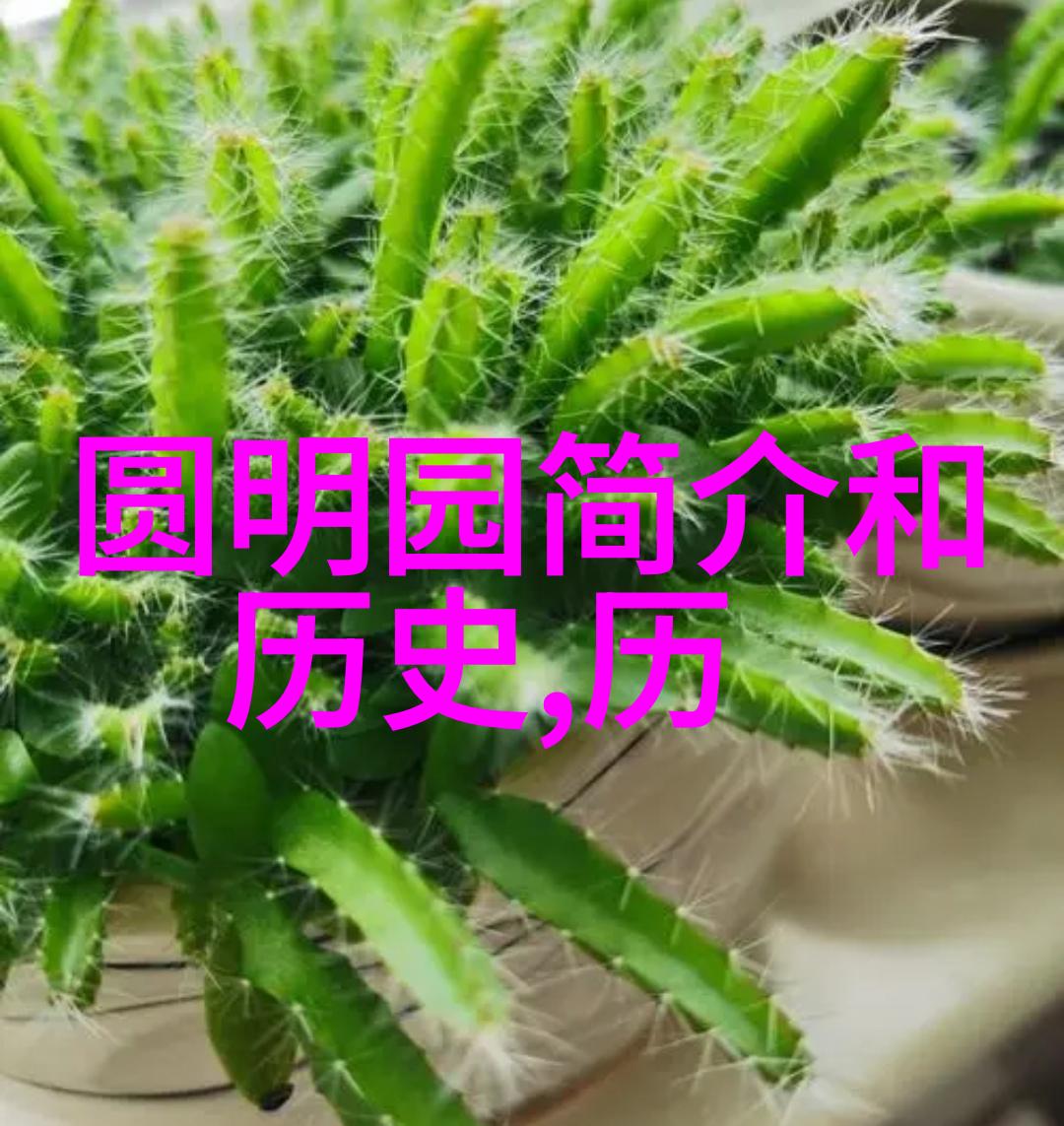 探索历史的天空解读古代星辰与文明的交响