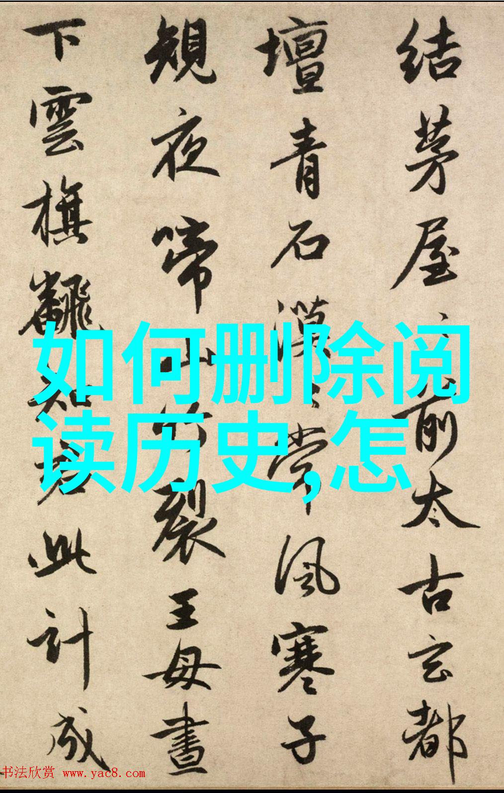 猫科动物全息解析