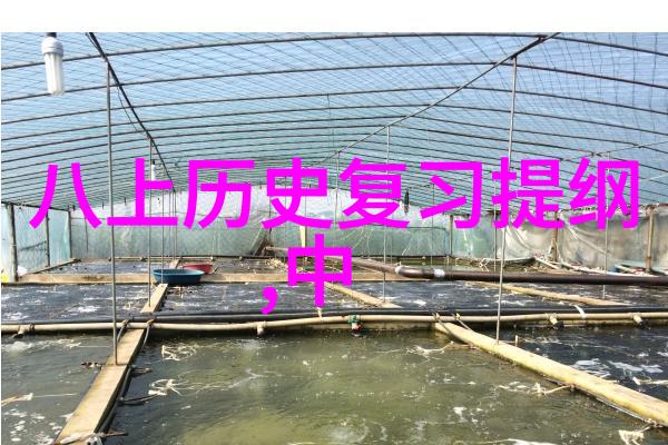 重庆边缘的美食奇遇黑毛猪火腿与红酒的醇香对决