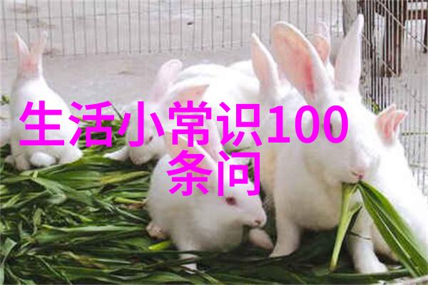 动态姿势演示让你的漫画女孩充满活力和运动感