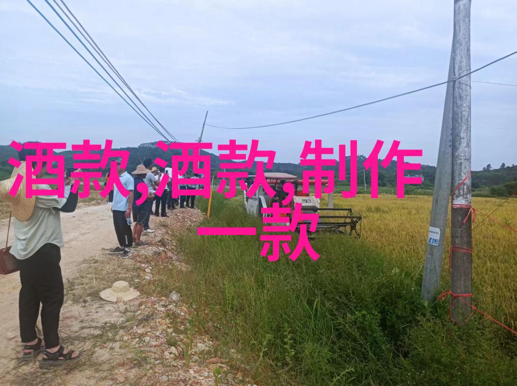 人民币纸币收藏网-汇聚爱好者心声探秘中国人民币的收藏价值与魅力