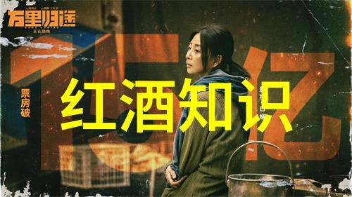 家庭关系-儿子一晚上要了我五回怎么办呢探索性别角色与亲子间的沟通