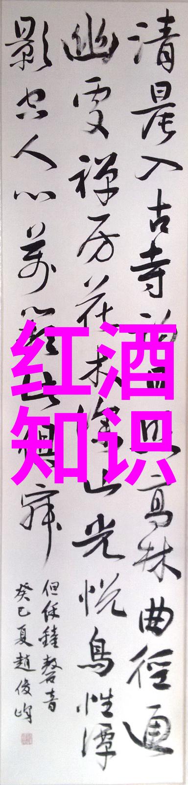 陕西历史博物馆我的历史探索之旅