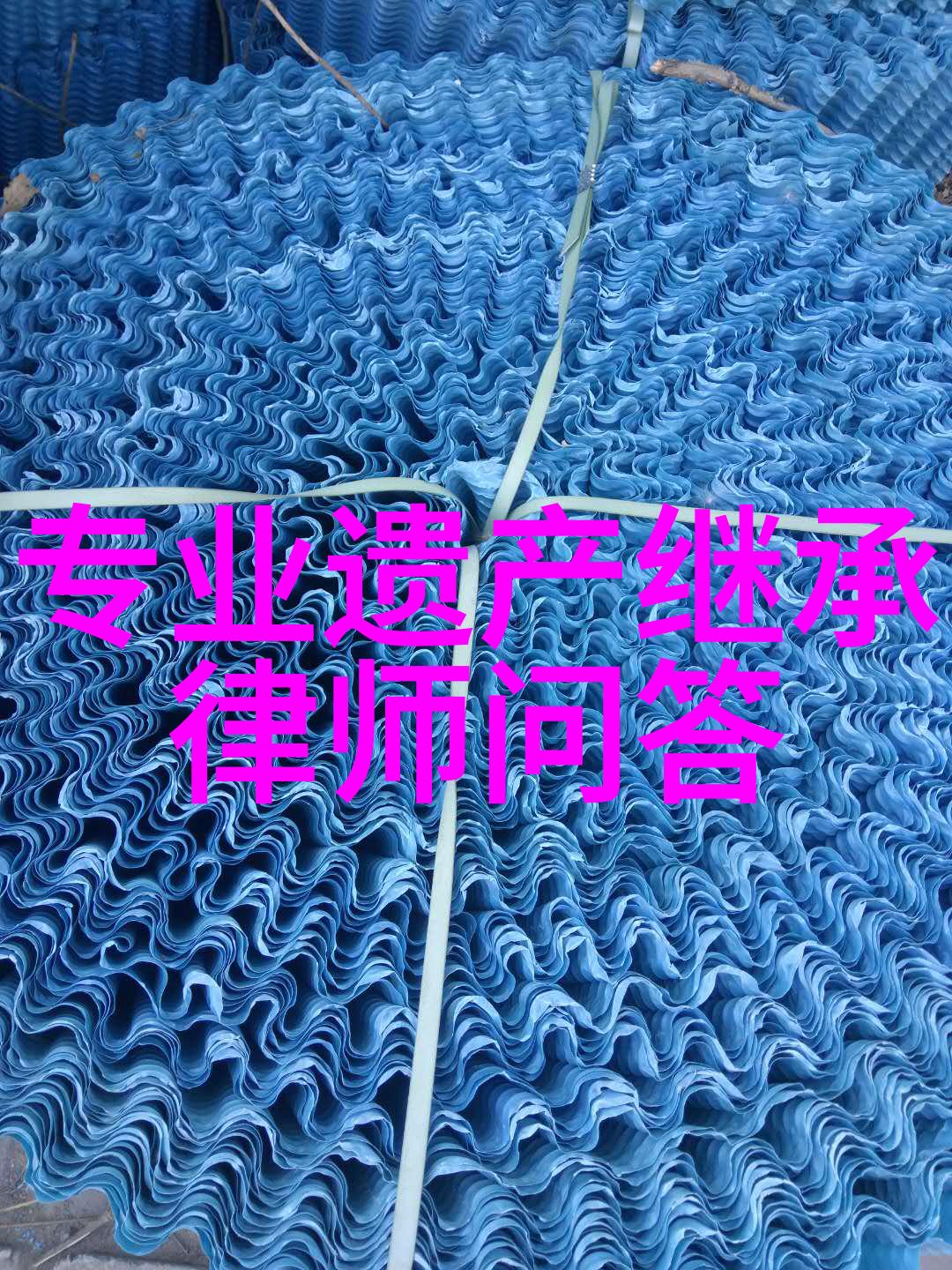 在那遥远的中世纪欧洲哪些庄园名字背后隐藏着古老的秘密和传奇故事