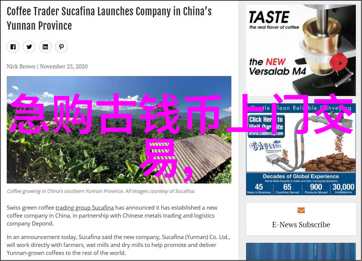 猫的美丽多样探秘世界上最迷人的家畜种类