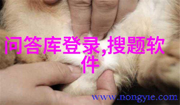 猫头历史喵声穿越千年