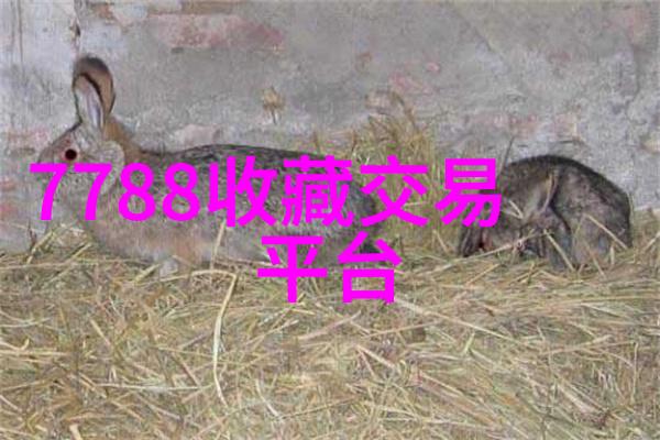 139问答题库知识点精炼与实用技巧
