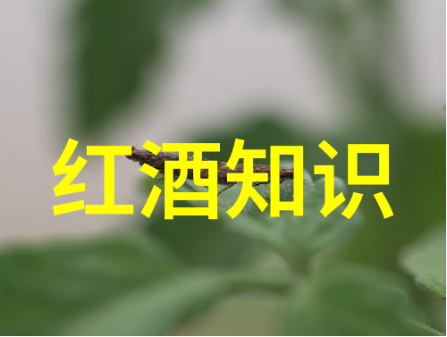俄勒冈葡萄酒月反复享受艺术品收藏与时光的交响phony