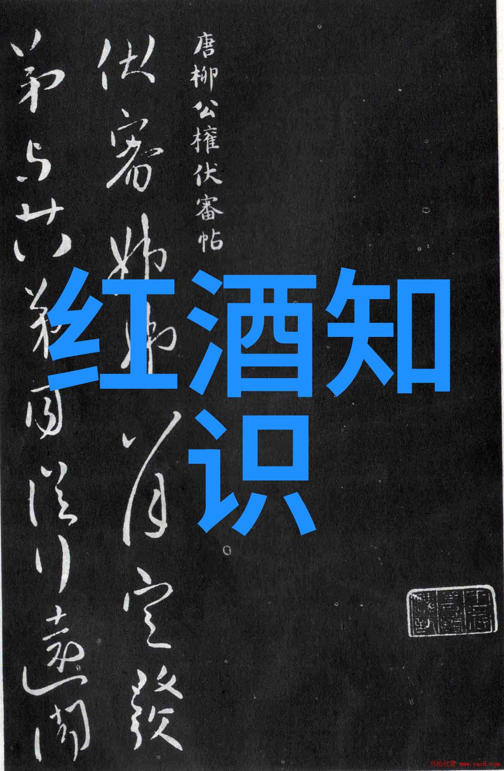 葡萄酒穿越时空的纽带与文化象征
