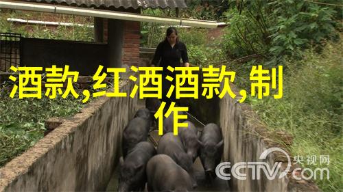 3月周边旅游-春暖花开的周末逃离3月周边美丽目的地