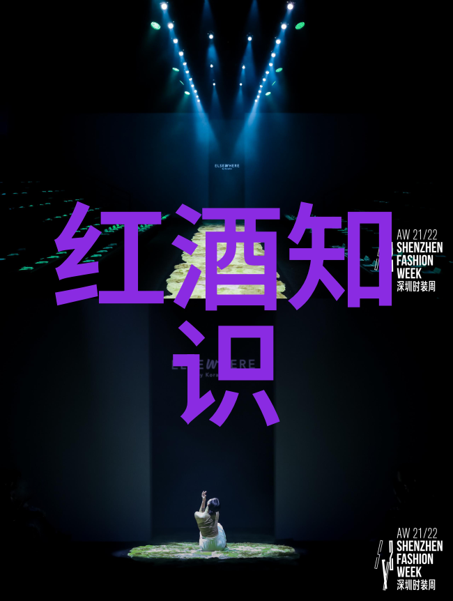 法国文化的独特魅力艺术与文学的源泉