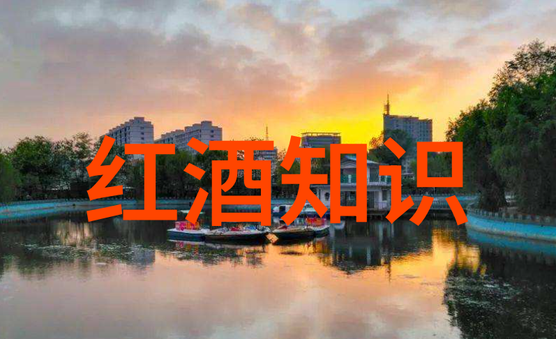 葡萄酒的故乡探索世界上最著名的酿酒葡萄产区