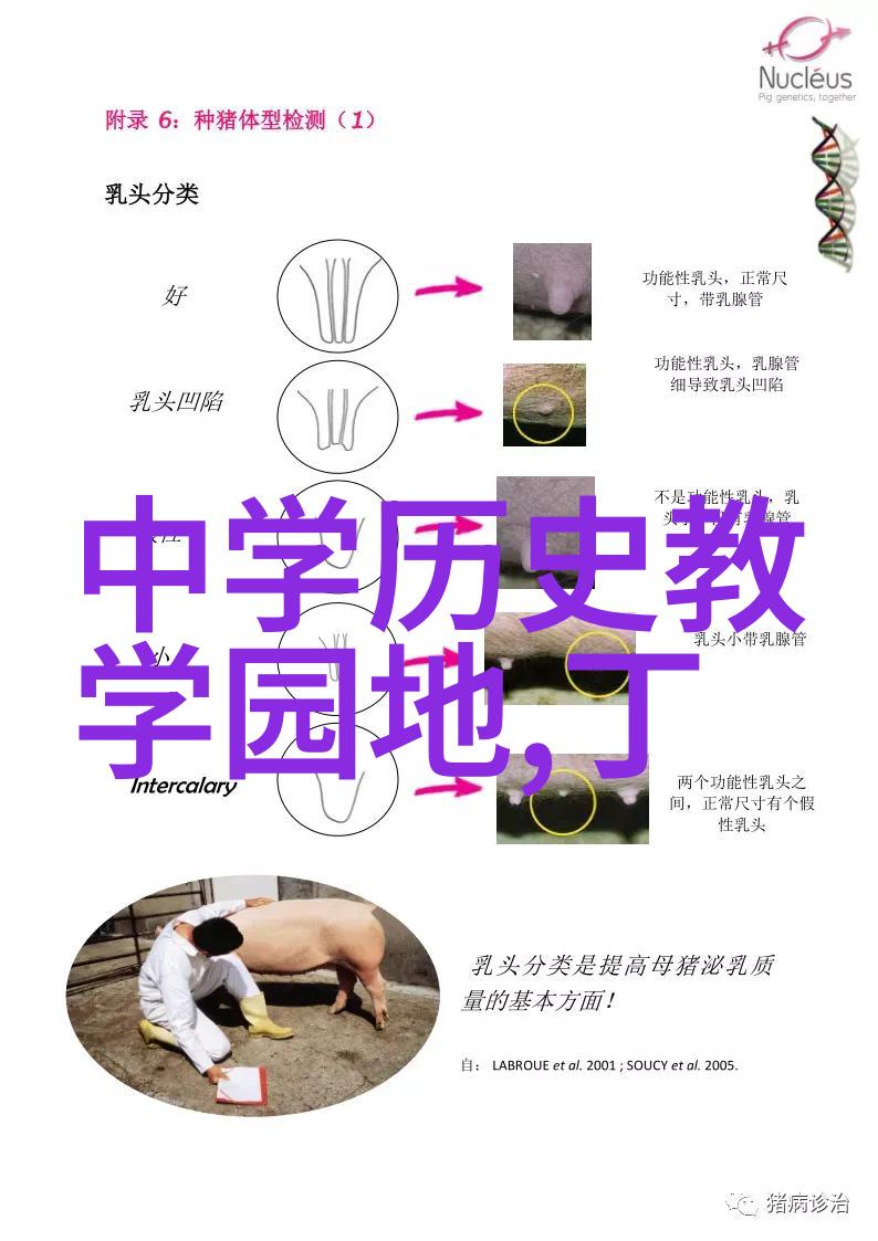 如果历史是一群喵探索时光的猫头鹰与历史的秘密篇章