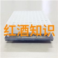 智利有哪些值得尝试的红酒品牌每款的风味特点是什么