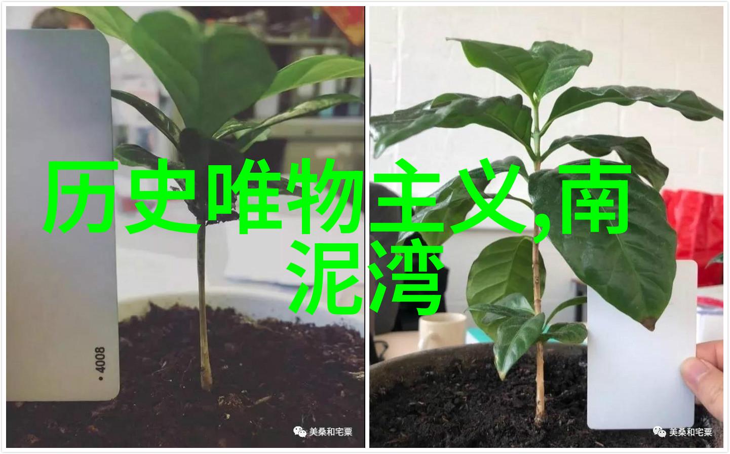 手机收藏管理指南如何轻松查看和维护你的宝贝