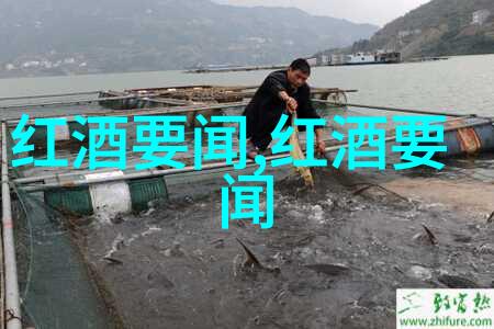 收藏与市场-各种硬币收藏价格表揭秘钱币珍稀价值
