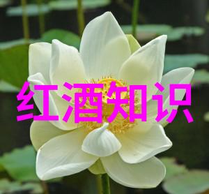 女朋友被窝里的撒娇艺术