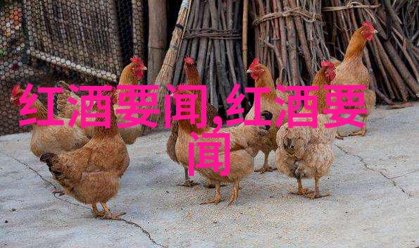 波尔多广场发布2013年Clos des Goisses葡萄酒玉米品种图片展现社会多样性