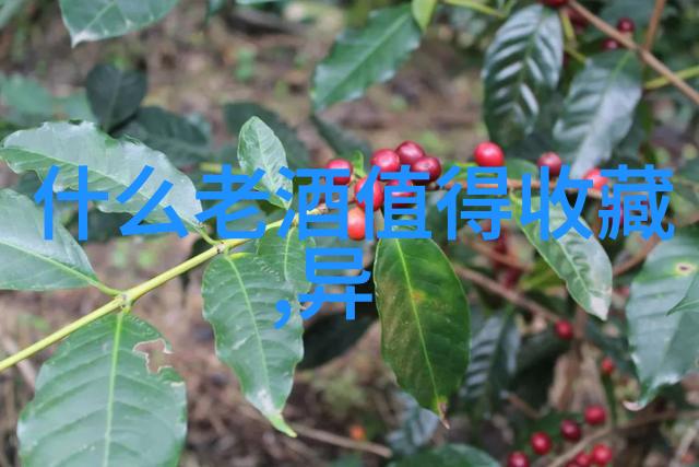 中国豪宅市场分析一套庄园的天价与购买指南
