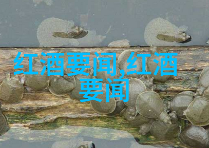 如果你用微波炉加热红酒会发生什么陕西历史博物馆的数据驱动探索