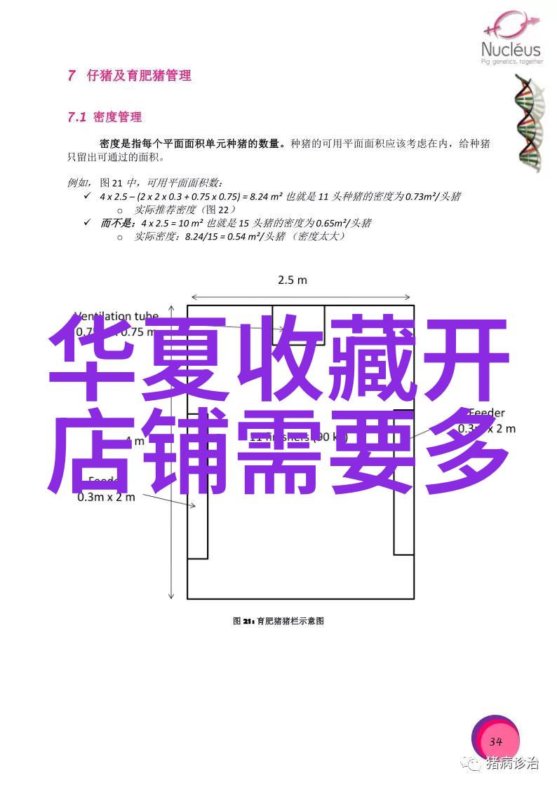 夏日嬉游寻找最适合家庭的旅行天堂