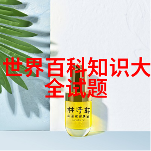梦幻庄园管理层如何应对现代化建设与传统文化保护的矛盾