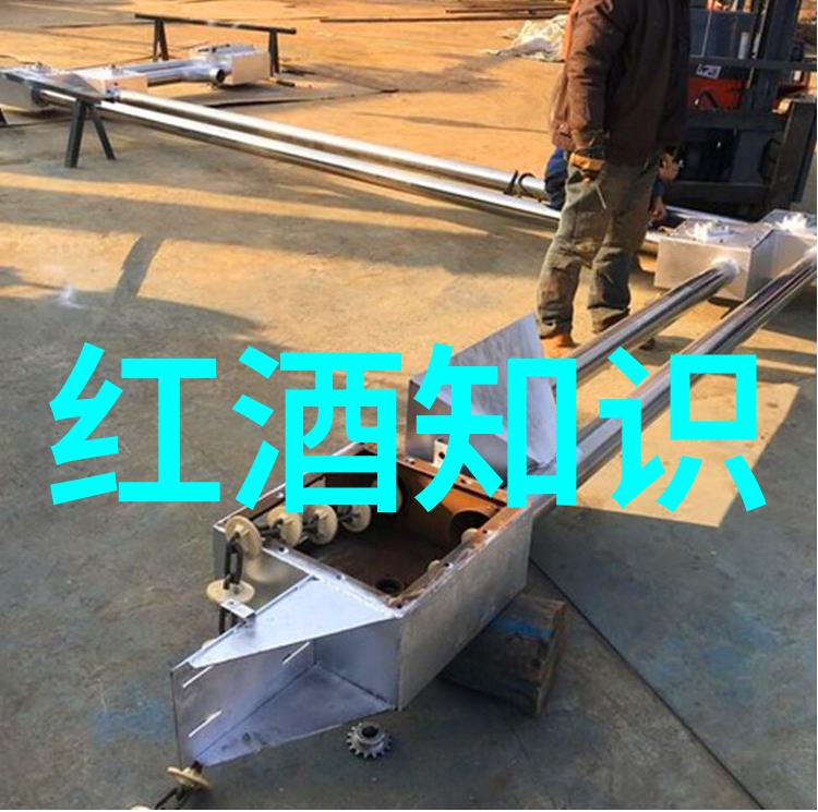 探索猫咪种类的丰富世界从波斯到缤纷了解不同品种的魅力