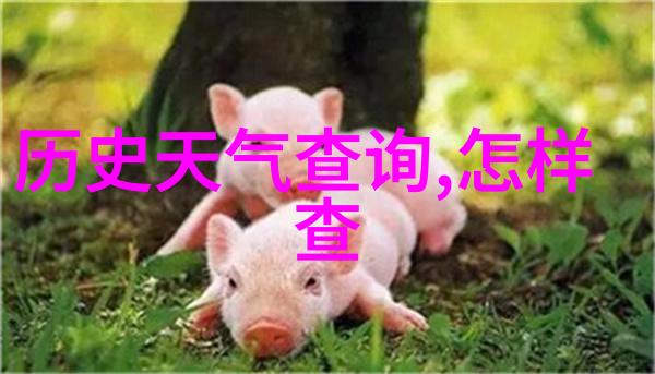 解析巴以冲突的历史根源从土地到宗教追溯中东紧张关系的深层原因