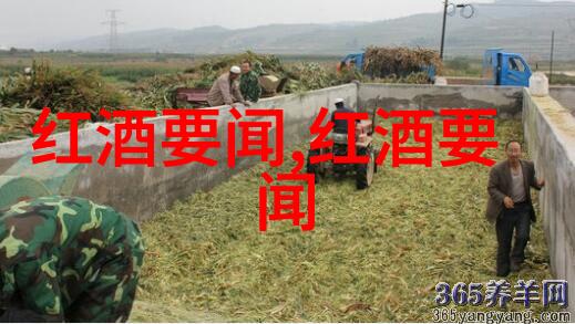阿根廷红酒产区之美从马尔贝克到里奥内格罗的葡萄园奇迹