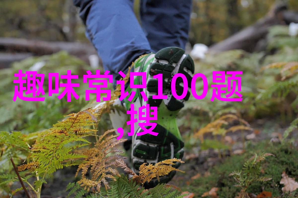 主题-收藏的视频如何快速找回