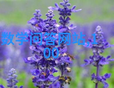 如何以文雅的方式表达对收藏品的欣赏与热爱