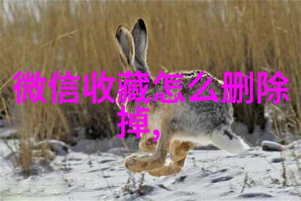 蚂蚁庄园的秘密129号答案背后的谜团