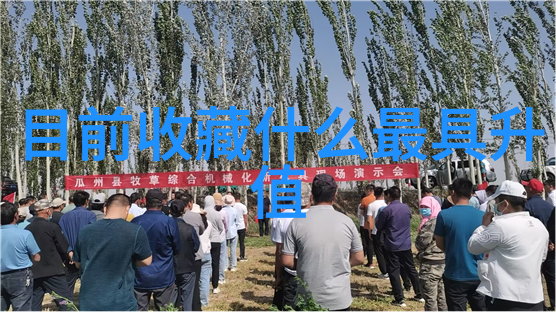 中华英雄谱为中国贡献的名人事迹