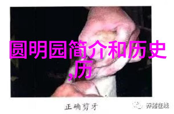 犹太人的起源和历史从古代的智慧到现代的复兴