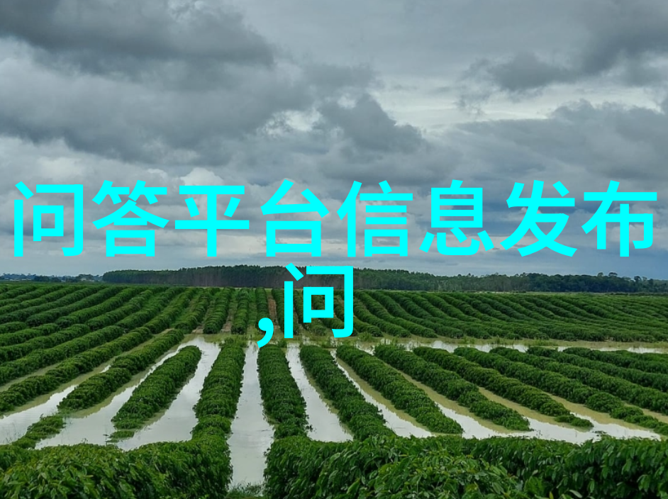 红酒酿造-醉心于时光探索传统红酒酿造技艺