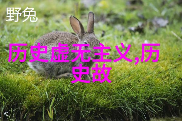 从养护角度来看狸花猫是不是更适合室内生活