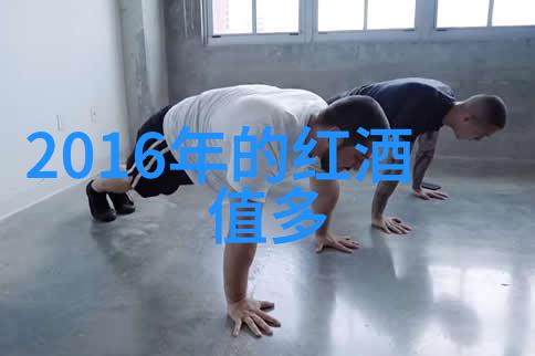 4级庄园设计图详细教程步骤力士金酒庄的奢华篇章