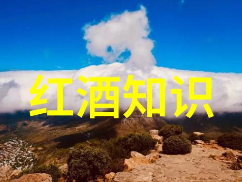 收藏家们的挑战如何鉴定一件古董是否值得收藏